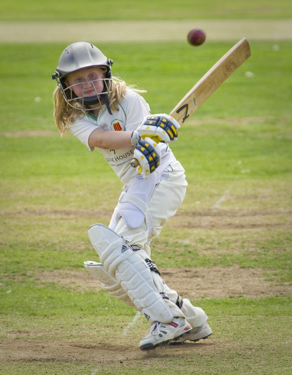 Cricket Batting